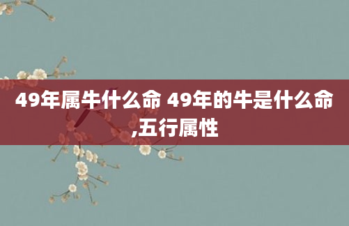 49年属牛什么命 49年的牛是什么命,五行属性