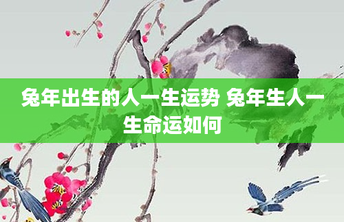 兔年出生的人一生运势 兔年生人一生命运如何