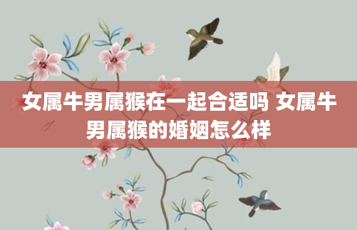 女属牛男属猴在一起合适吗 女属牛男属猴的婚姻怎么样