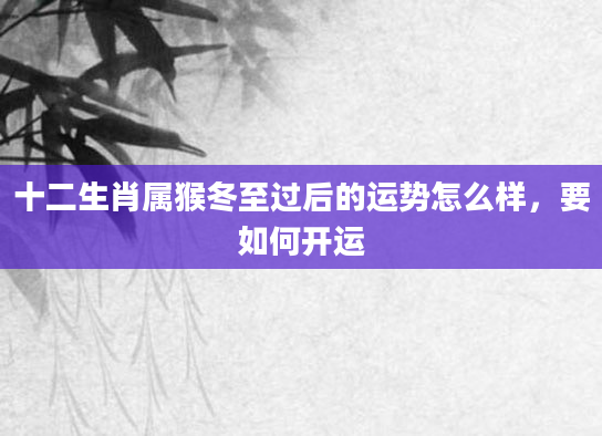 十二生肖属猴冬至过后的运势怎么样，要如何开运