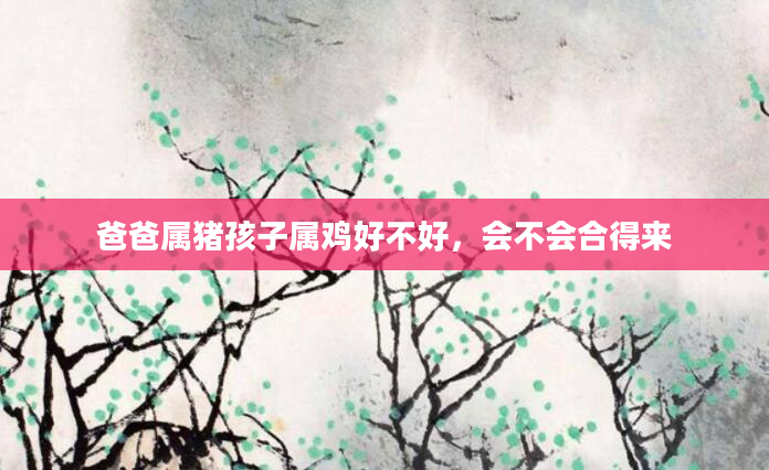 爸爸属猪孩子属鸡好不好，会不会合得来