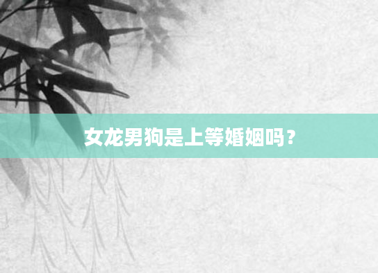 女龙男狗是上等婚姻吗？