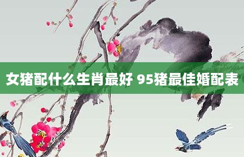 女猪配什么生肖最好 95猪最佳婚配表