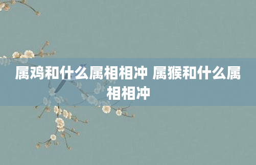 属鸡和什么属相相冲 属猴和什么属相相冲