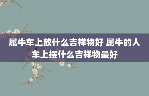 属牛车上放什么吉祥物好 属牛的人车上摆什么吉祥物最好