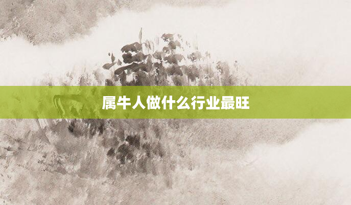 属牛人做什么行业最旺