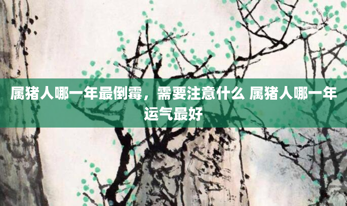 属猪人哪一年最倒霉，需要注意什么 属猪人哪一年运气最好