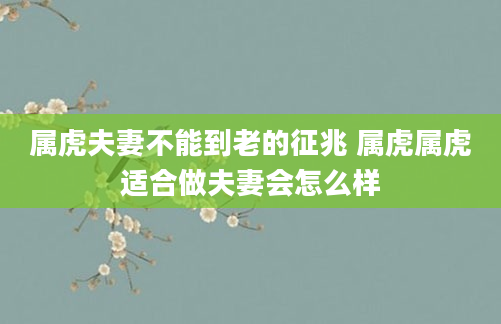 属虎夫妻不能到老的征兆 属虎属虎适合做夫妻会怎么样