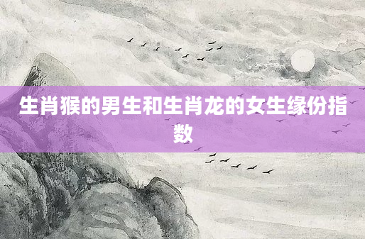 生肖猴的男生和生肖龙的女生缘份指数