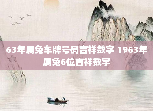63年属兔车牌号码吉祥数字 1963年属兔6位吉祥数字