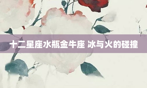 十二星座水瓶金牛座 冰与火的碰撞