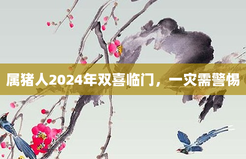 属猪人2024年双喜临门，一灾需警惕