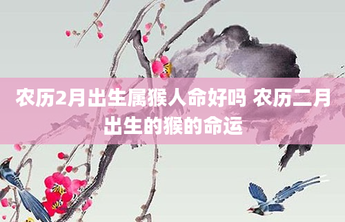 农历2月出生属猴人命好吗 农历二月出生的猴的命运