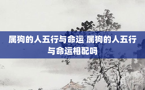 属狗的人五行与命运 属狗的人五行与命运相配吗