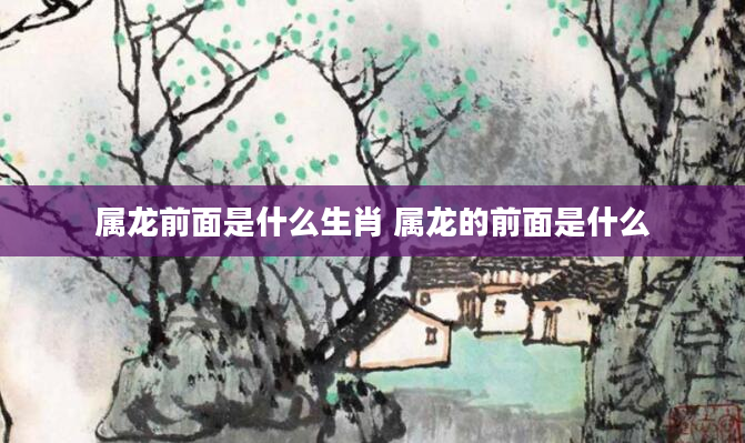 属龙前面是什么生肖 属龙的前面是什么