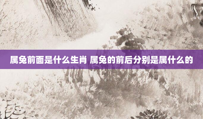 属兔前面是什么生肖 属兔的前后分别是属什么的