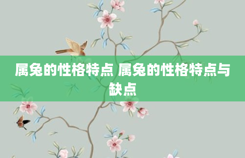 属兔的性格特点 属兔的性格特点与缺点