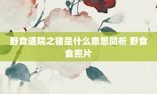 野食道院之猪是什么意思简析 野食食照片