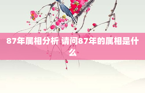 87年属相分析 请问87年的属相是什么
