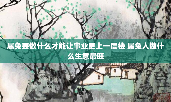 属兔要做什么才能让事业更上一层楼 属兔人做什么生意最旺