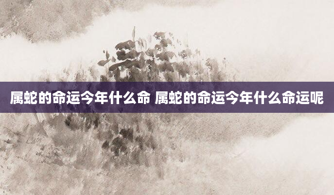 属蛇的命运今年什么命 属蛇的命运今年什么命运呢