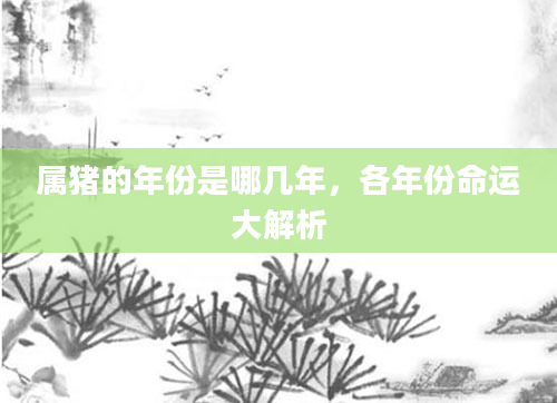 属猪的年份是哪几年，各年份命运大解析