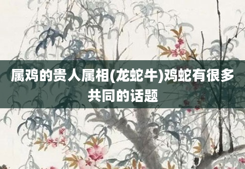属鸡的贵人属相(龙蛇牛)鸡蛇有很多共同的话题