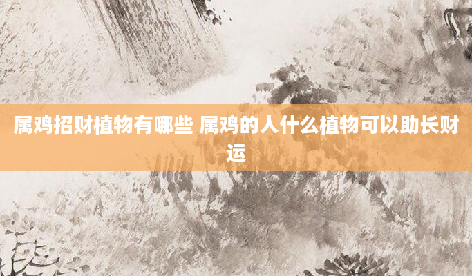 属鸡招财植物有哪些 属鸡的人什么植物可以助长财运