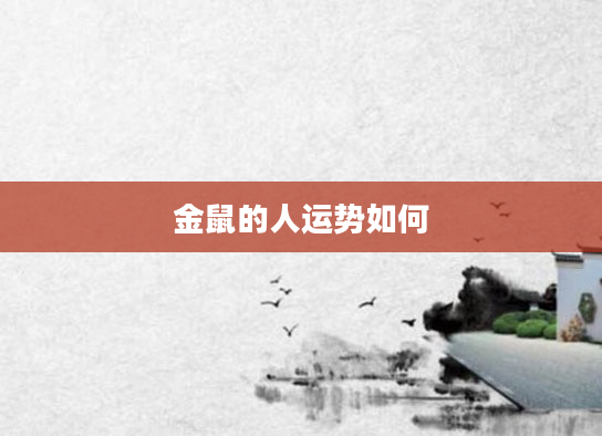 金鼠的人运势如何
