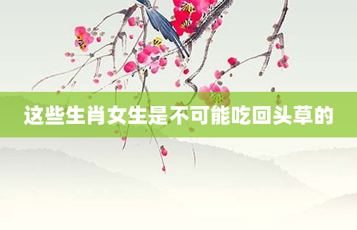 这些生肖女生是不可能吃回头草的