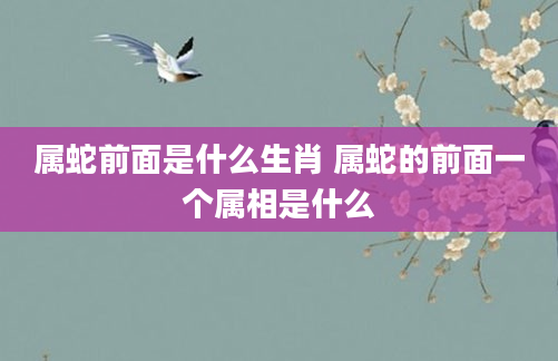 属蛇前面是什么生肖 属蛇的前面一个属相是什么