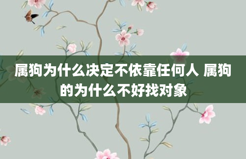 属狗为什么决定不依靠任何人 属狗的为什么不好找对象