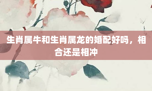 生肖属牛和生肖属龙的婚配好吗，相合还是相冲