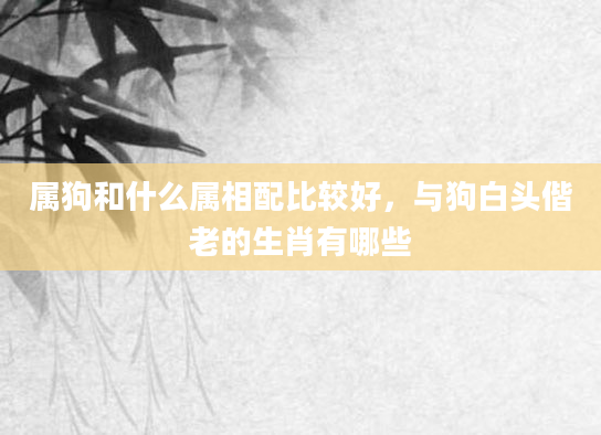 属狗和什么属相配比较好，与狗白头偕老的生肖有哪些