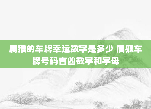 属猴的车牌幸运数字是多少 属猴车牌号码吉凶数字和字母
