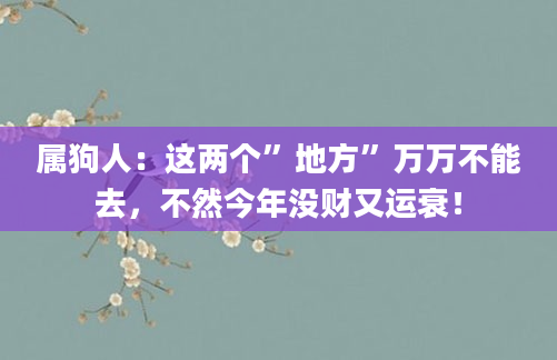 属狗人：这两个”地方”万万不能去，不然今年没财又运衰！