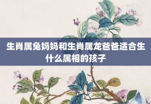 生肖属兔妈妈和生肖属龙爸爸适合生什么属相的孩子