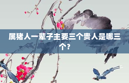 属猪人一辈子主要三个贵人是哪三个？