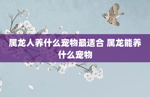 属龙人养什么宠物最适合 属龙能养什么宠物