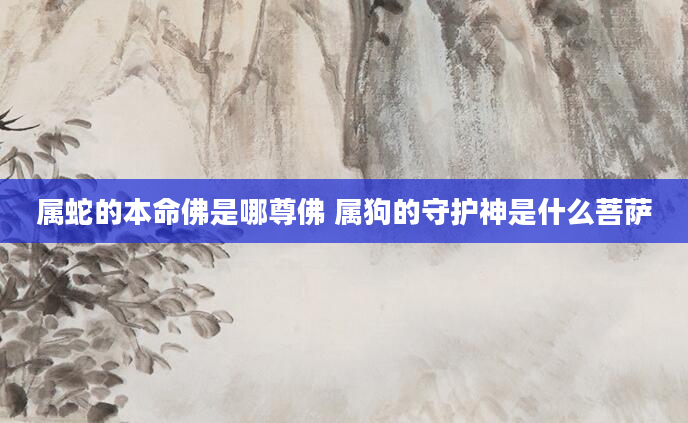 属蛇的本命佛是哪尊佛 属狗的守护神是什么菩萨