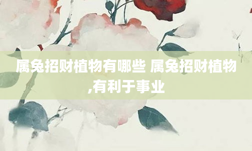 属兔招财植物有哪些 属兔招财植物,有利于事业