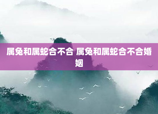 属兔和属蛇合不合 属兔和属蛇合不合婚姻