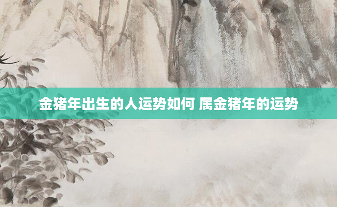 金猪年出生的人运势如何 属金猪年的运势
