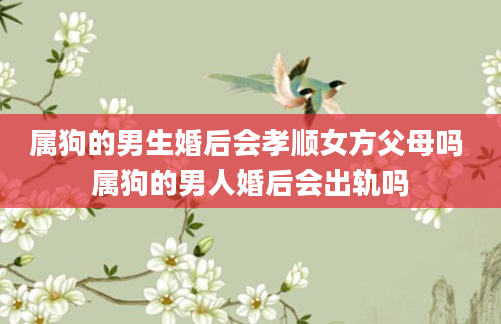 属狗的男生婚后会孝顺女方父母吗 属狗的男人婚后会出轨吗