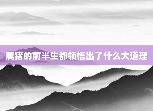 属猪的前半生都领悟出了什么大道理