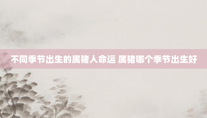 不同季节出生的属猪人命运 属猪哪个季节出生好