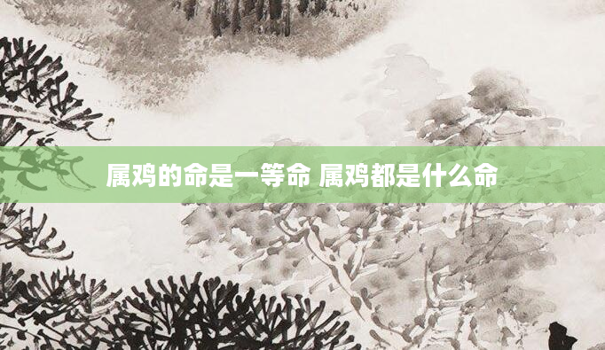 属鸡的命是一等命 属鸡都是什么命