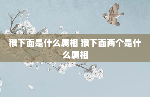 猴下面是什么属相 猴下面两个是什么属相
