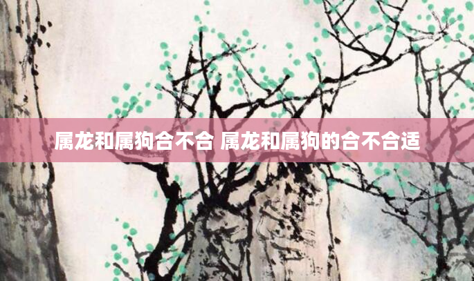 属龙和属狗合不合 属龙和属狗的合不合适