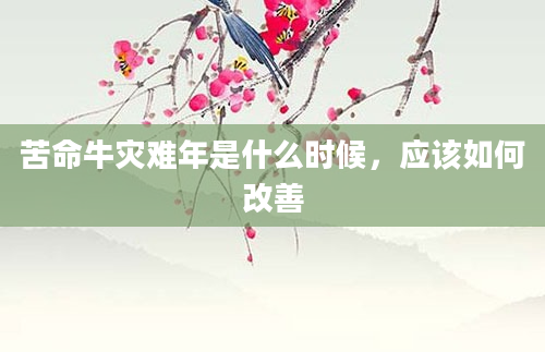 苦命牛灾难年是什么时候，应该如何改善